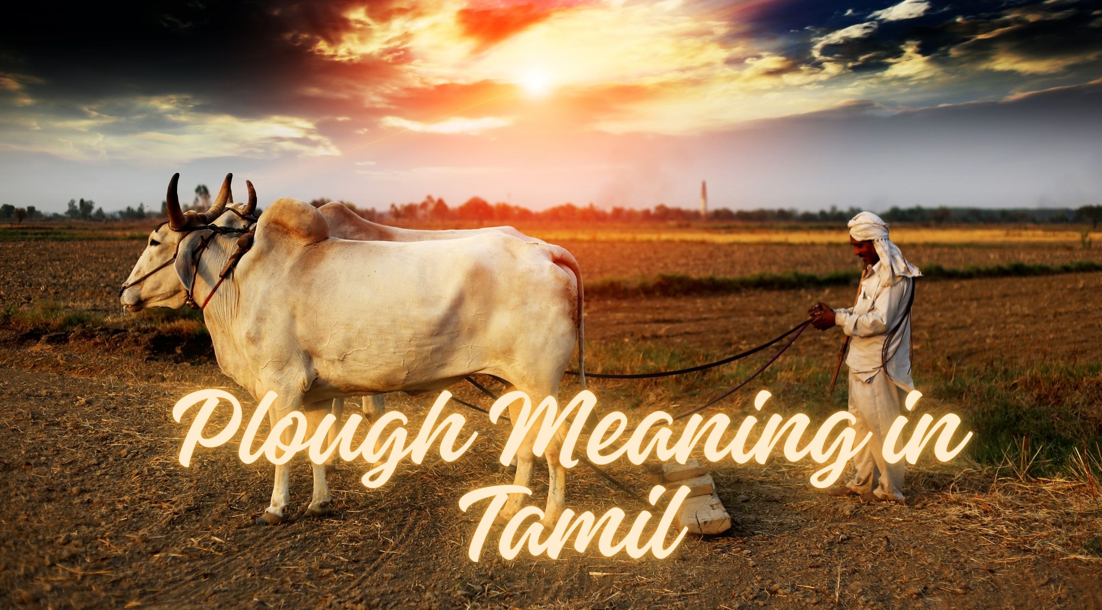 Plough Meaning in Tamil